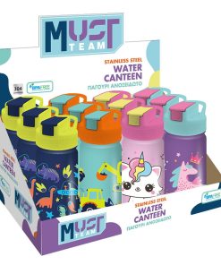 WATER CANTEEN STAINLESS STEEL 500ML WITH STRAW ASST