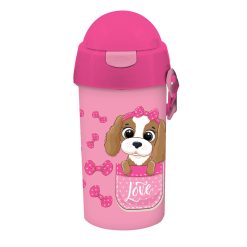 WATER CANTEEN 500ML WITH STRAW GIRL 4 DESIGNS